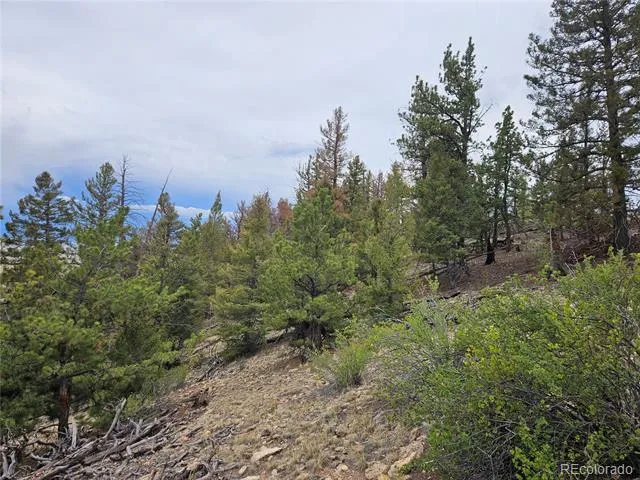 PCS#24807 Satanta Trail Hartsel, CO 80449