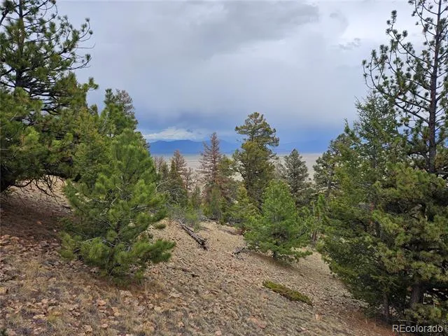PCS#24807 Satanta Trail Hartsel, CO 80449