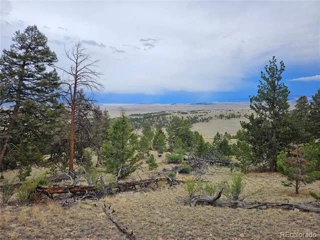 PCS#24807 Satanta Trail Hartsel, CO 80449