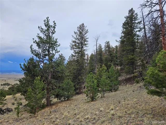 PCS#24807 Satanta Trail Hartsel, CO 80449
