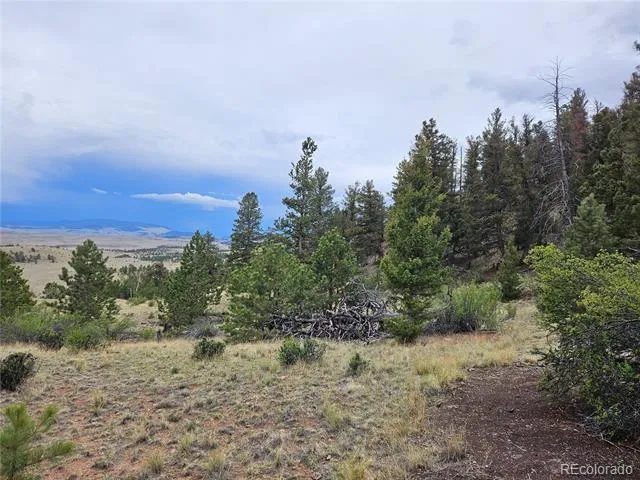 PCS#24807 Satanta Trail Hartsel, CO 80449