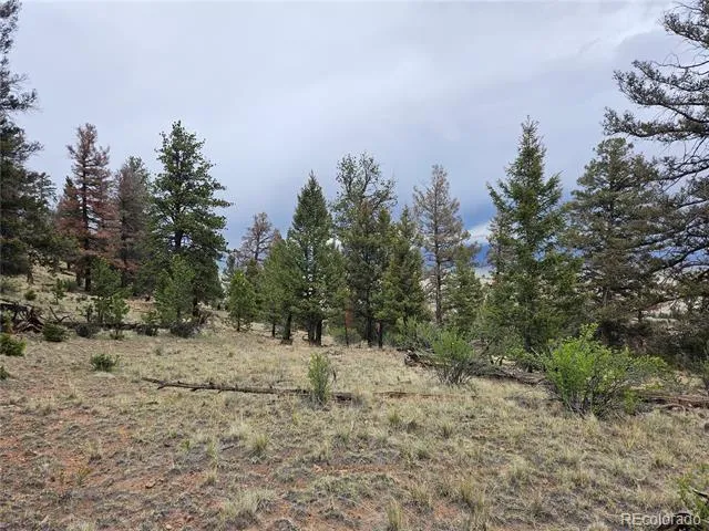 PCS#24807 Satanta Trail Hartsel, CO 80449