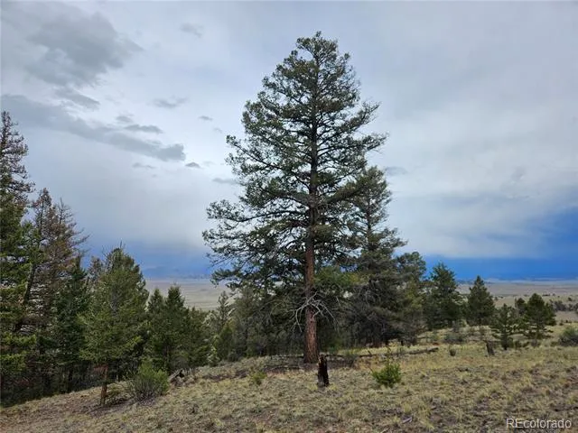 PCS#24807 Satanta Trail Hartsel, CO 80449