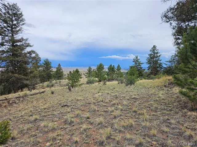 PCS#24807 Satanta Trail Hartsel, CO 80449