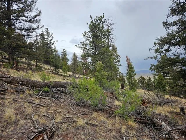 PCS#24807 Satanta Trail Hartsel, CO 80449