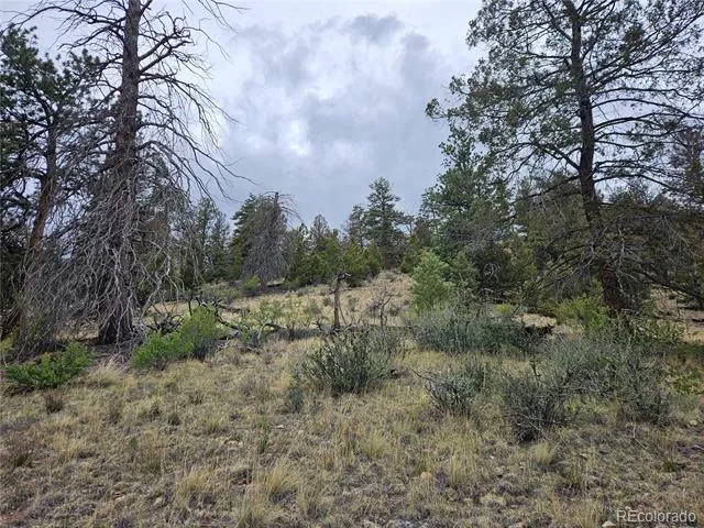PCS#24807 Satanta Trail Hartsel, CO 80449