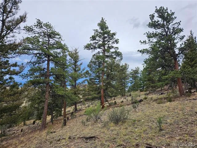 PCS#24807 Satanta Trail Hartsel, CO 80449