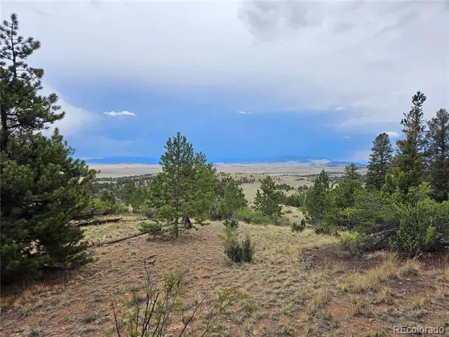PCS#24807 Satanta Trail Hartsel, CO 80449