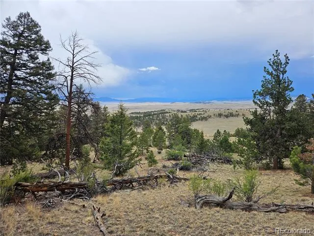 PCS#24807 Satanta Trail Hartsel, CO 80449