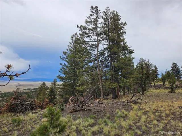 PCS#24807 Satanta Trail Hartsel, CO 80449