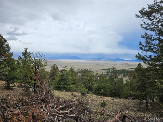 PCS#24807 Satanta Trail Hartsel, CO 80449