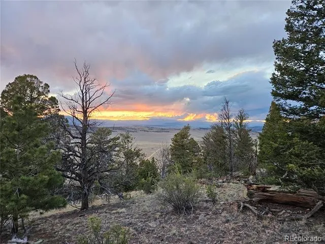 PCS#24807 Satanta Trail Hartsel, CO 80449