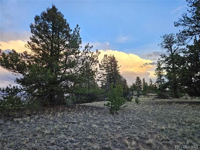 PCS#24807 Satanta Trail Hartsel, CO 80449