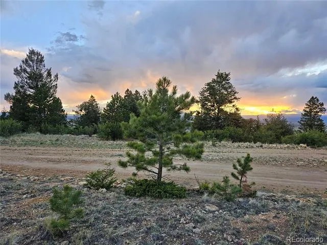 PCS#24807 Satanta Trail Hartsel, CO 80449