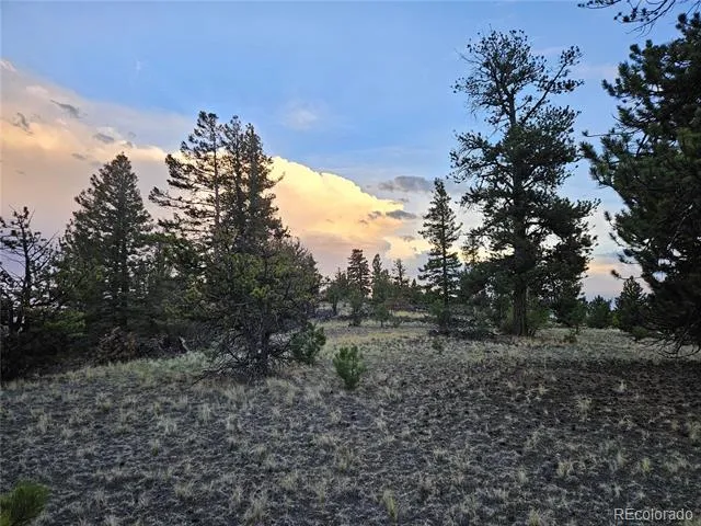 PCS#24807 Satanta Trail Hartsel, CO 80449