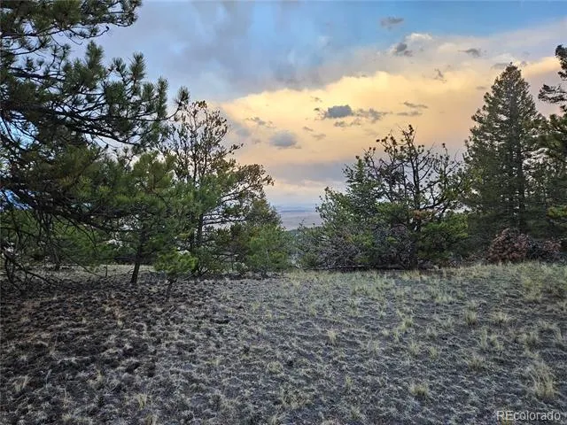 PCS#24807 Satanta Trail Hartsel, CO 80449