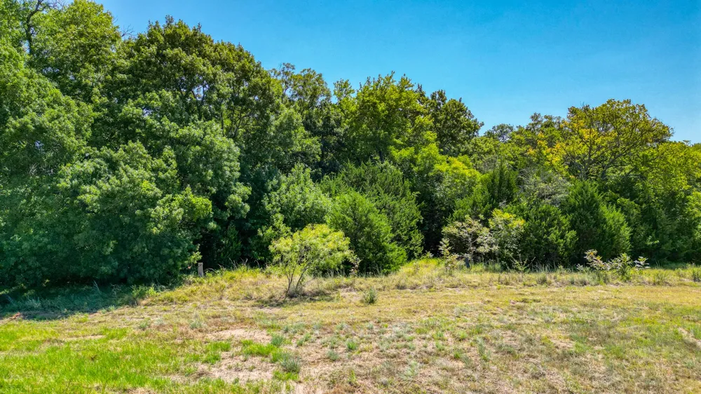 Life Drive Weatherford, TX 76088