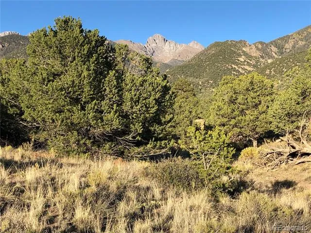 4480 Ridgecrest Way Crestone, CO 81131