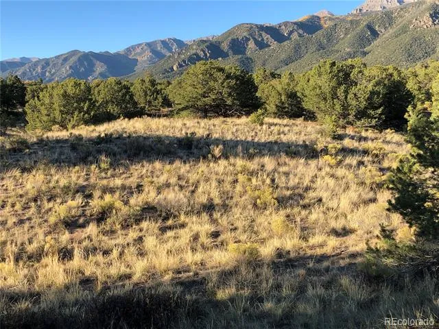 4480 Ridgecrest Way Crestone, CO 81131
