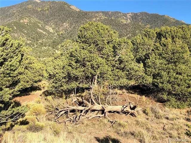 4480 Ridgecrest Way Crestone, CO 81131