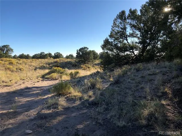 4480 Ridgecrest Way Crestone, CO 81131