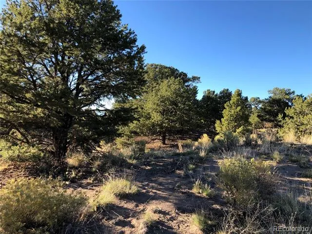 4480 Ridgecrest Way Crestone, CO 81131