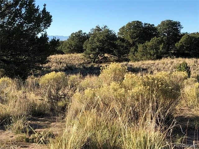 4480 Ridgecrest Way Crestone, CO 81131
