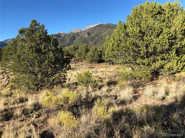 4480 Ridgecrest Way Crestone, CO 81131