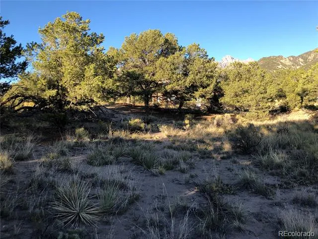4480 Ridgecrest Way Crestone, CO 81131