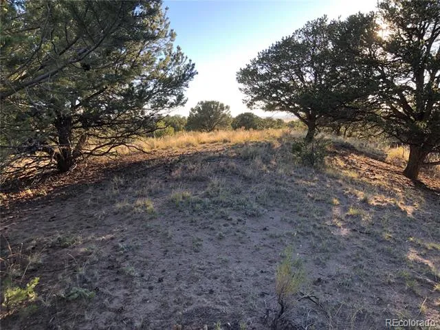 4480 Ridgecrest Way Crestone, CO 81131