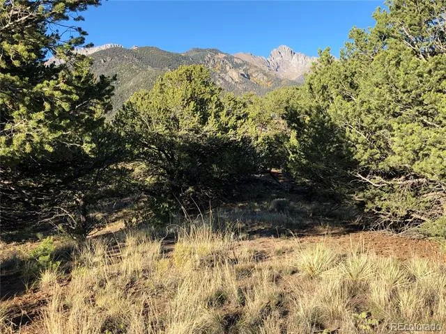 4480 Ridgecrest Way Crestone, CO 81131