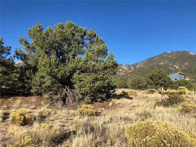 4480 Ridgecrest Way Crestone, CO 81131