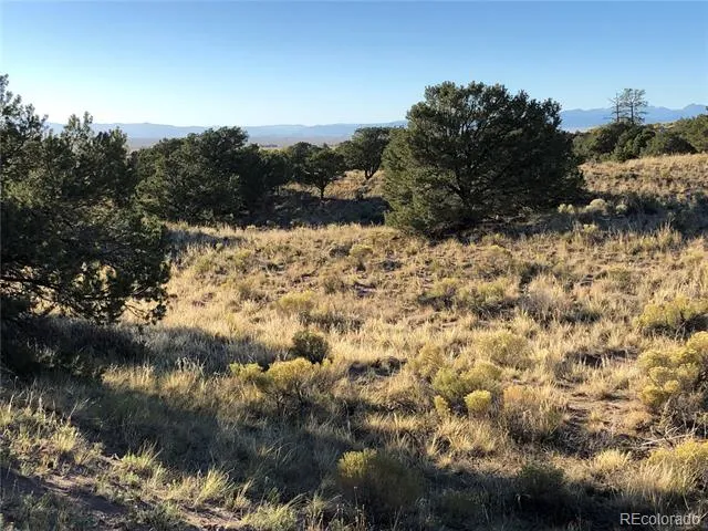4480 Ridgecrest Way Crestone, CO 81131