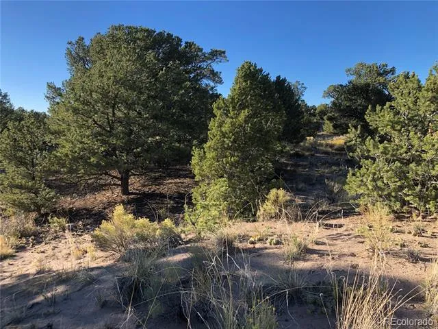 4480 Ridgecrest Way Crestone, CO 81131