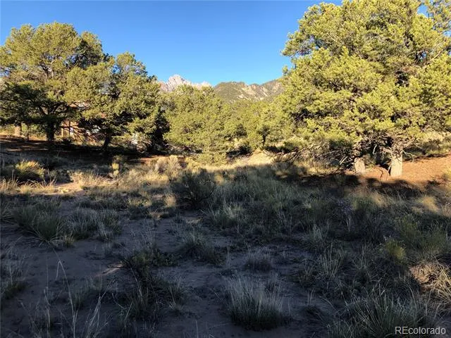 4480 Ridgecrest Way Crestone, CO 81131