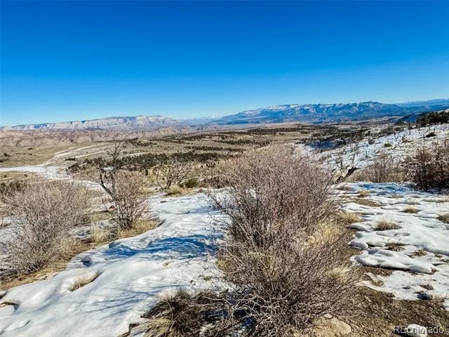 1725 35 1/10 ROAD De Beque, CO 81630