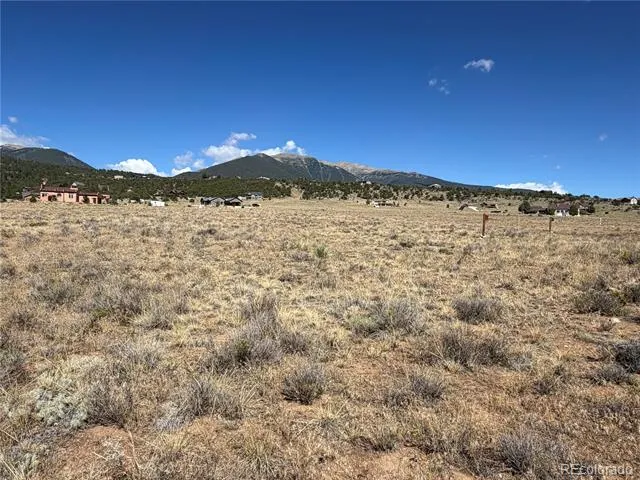 30309 Elk Meadow Buena Vista, CO 81211