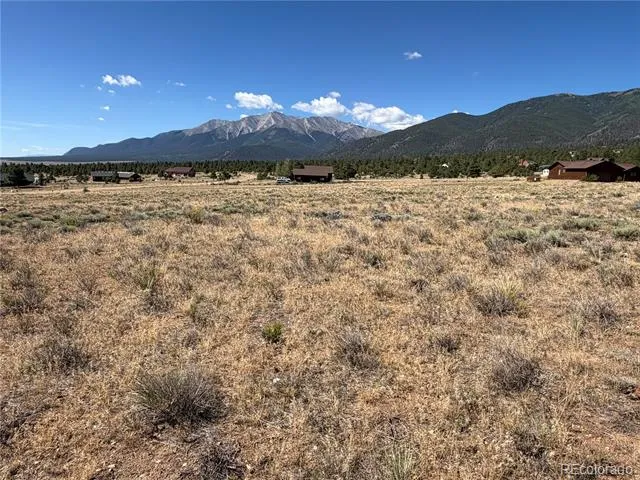 30309 Elk Meadow Buena Vista, CO 81211