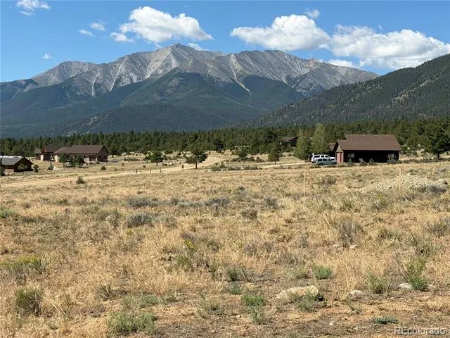 30309 Elk Meadow Buena Vista, CO 81211