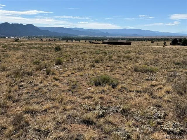30309 Elk Meadow Buena Vista, CO 81211