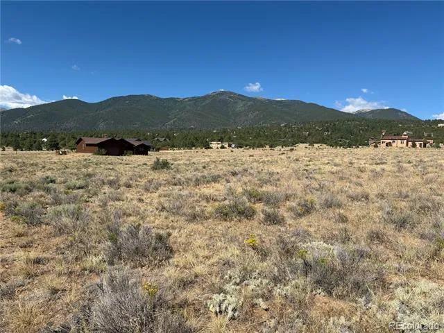 30309 Elk Meadow Buena Vista, CO 81211