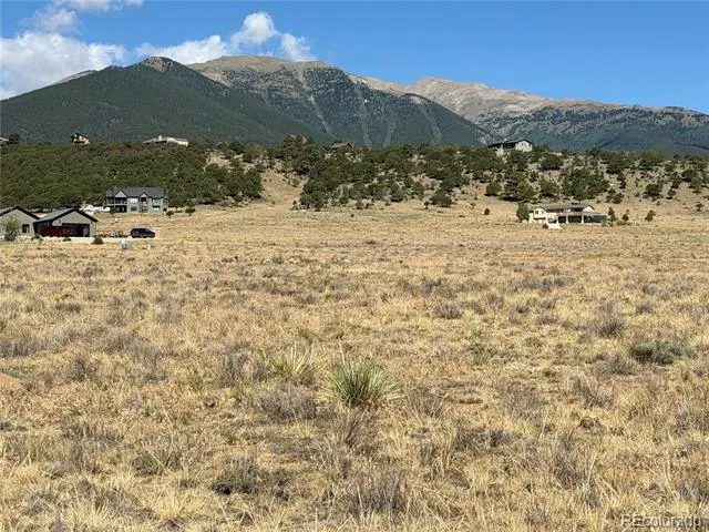 30309 Elk Meadow Buena Vista, CO 81211