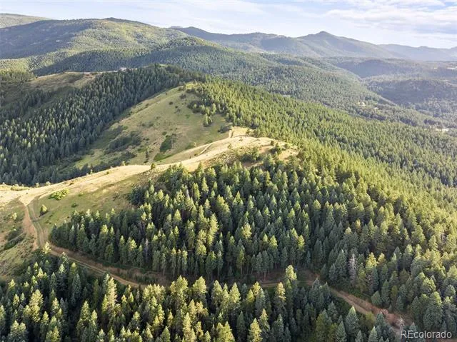 18844 Ute Vista Trail Morrison, CO 80465