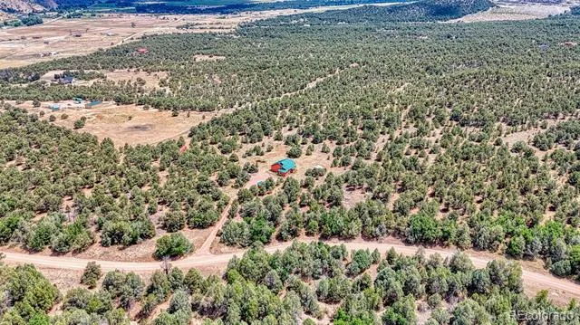 455 Hamilton Creek Road Coaldale, CO 81222