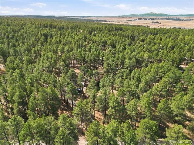 4724 Deer Trail Elizabeth, CO 80107