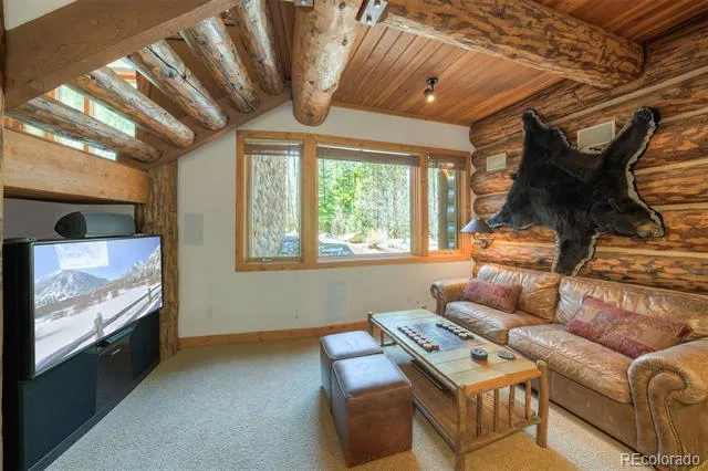 263 Tarnwood Drive Breckenridge, CO 80424