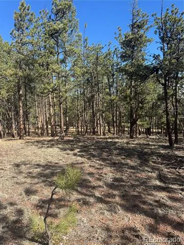 642 Matterhorn Drive Florissant, CO 80816