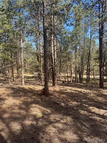 642 Matterhorn Drive Florissant, CO 80816