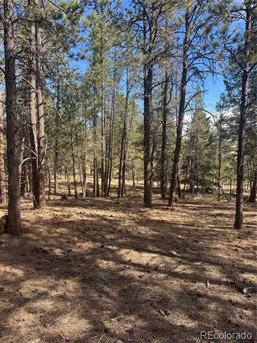 642 Matterhorn Drive Florissant, CO 80816