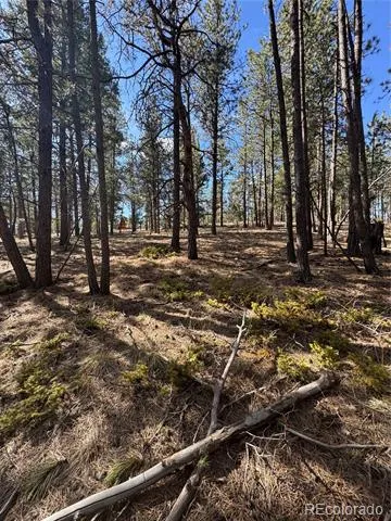 642 Matterhorn Drive Florissant, CO 80816